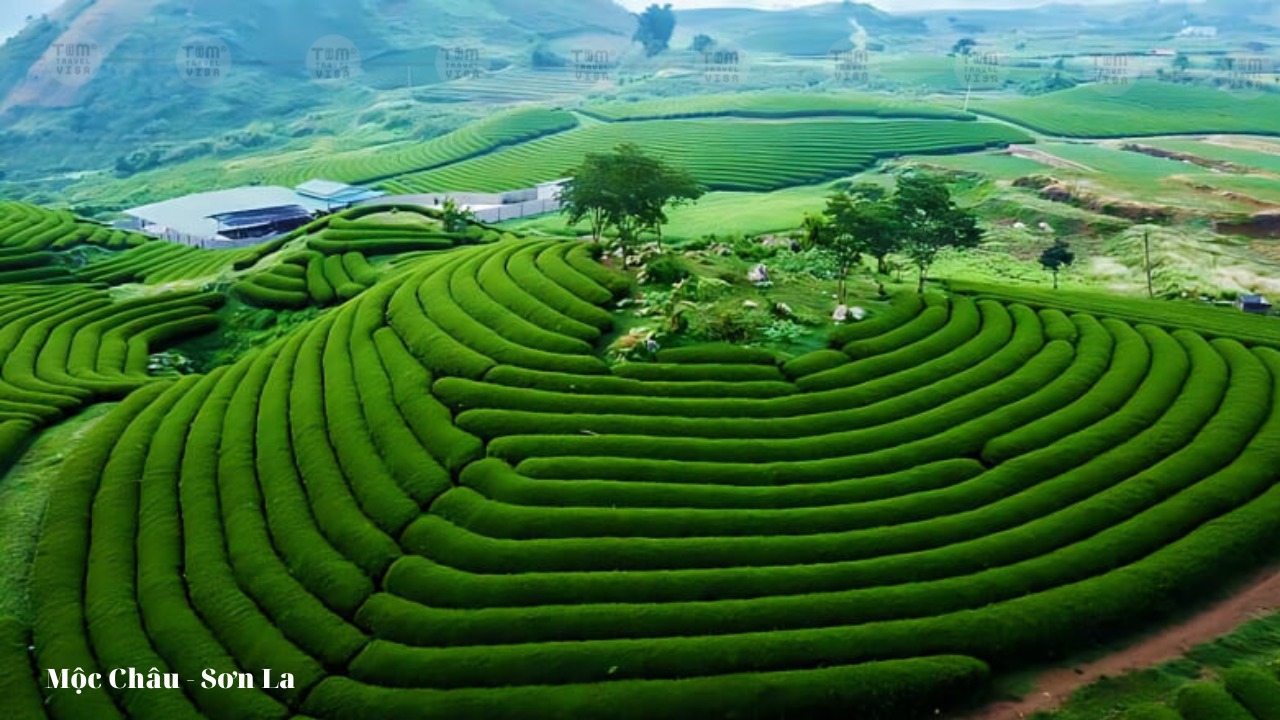 Chương Trình Tour Về Miền Ký Ức - Những Nẻo Đường Tây Bắc