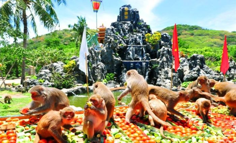 Hành trình Khám phá Nha Trang 5N4Đ: VinWonders – Đảo Khỉ – Hang Rái – Tắm Bùn Khoáng