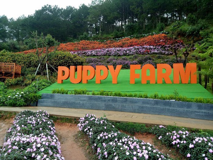 Du Lịch Nha Trang - Đà Lạt 5N4Đ: Du Ngoạn Bãi Tranh, Thăm Tháp Bà Ponagar, Vui Chơi Puppy Farm Và Green Hill