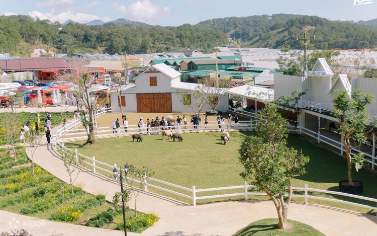 Tour Đà Lạt 4N3Đ: Trải Nghiệm Tiệm Nướng Chuyến Tàu Hoàng Hôn, Nông Trại Puppy Farm Và Thác Datanla