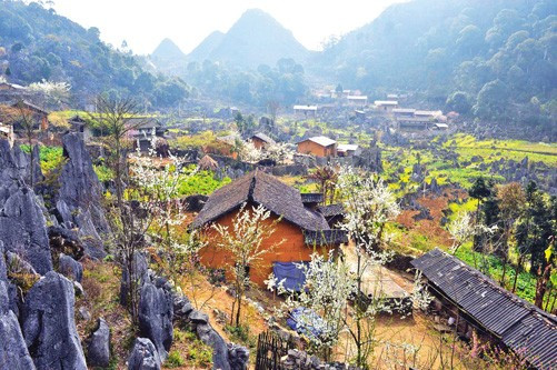 Chương Trình Du Lịch Về Miền Đá Nở Hoa!